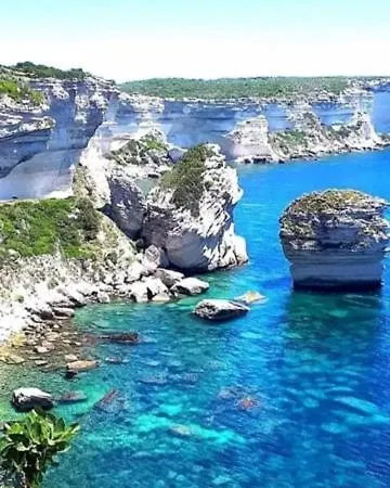 Apartament Spacieux T3 Proche Port De Vecchio *