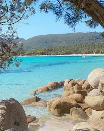 Spacieux T3 Proche Port De Porto Vecchio * ポルトヴェッキオ