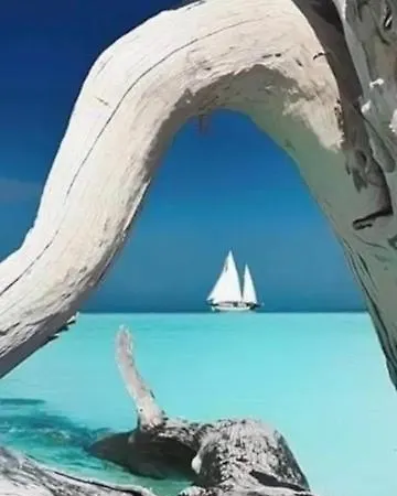 Spacieux T3 Proche Port De Porto Vecchio