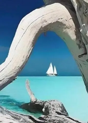 Spacieux T3 Proche Port De Vecchio